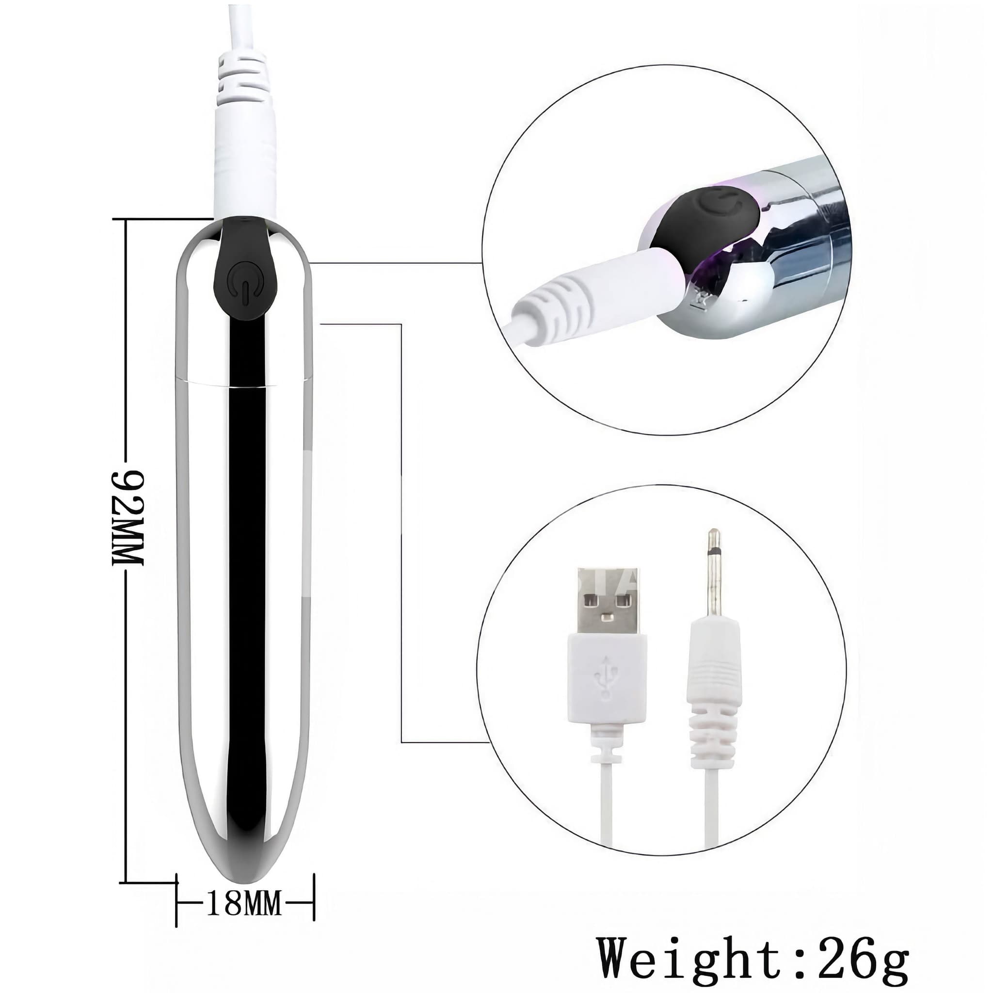 Bullet Vibrator (Silver) - 9.jpg